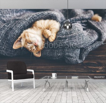 Picture of Gigner kitten sleeping